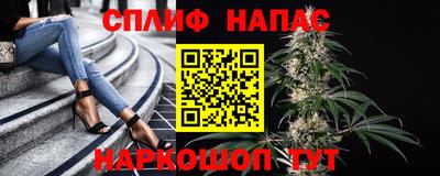 спиды Славгород