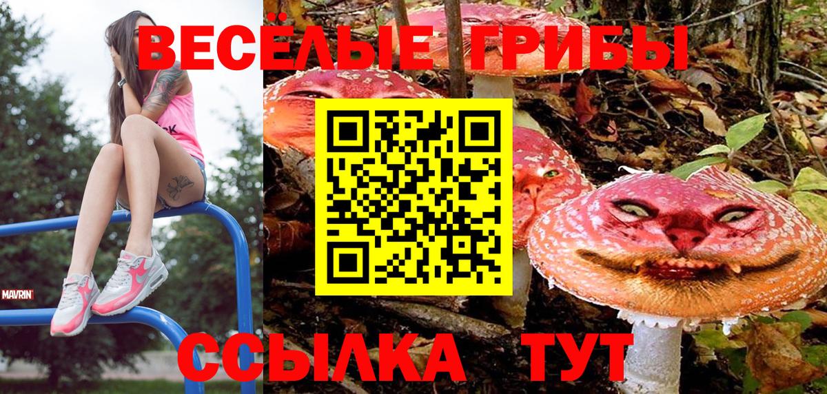 Курск  Галлюциногенные грибы MAGIC MUSHROOMS  Вход с VPN 