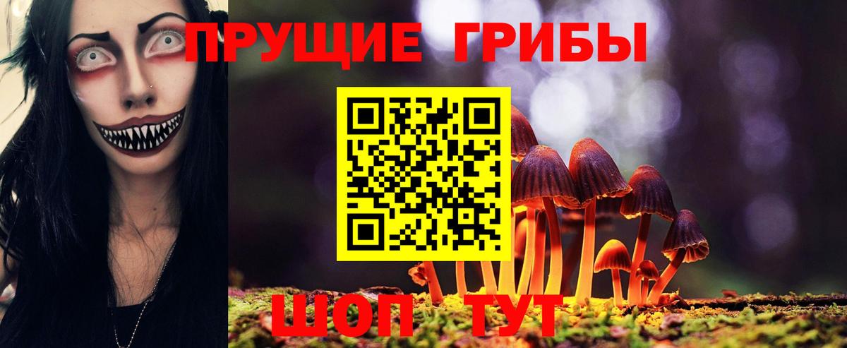 Псилоцибиновые грибы MAGIC MUSHROOMS Курск