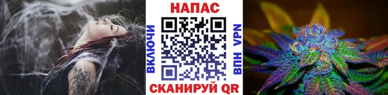 KRAKEN сайт купить наркотики сайты дарк нет телеграм Бошки Шишки гибрид Курск